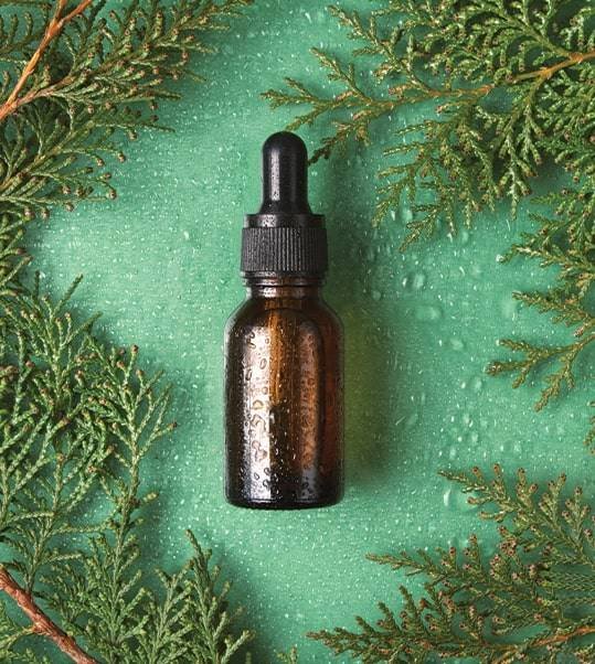 Comerciante Cristian Canas en Utrilla Teruel