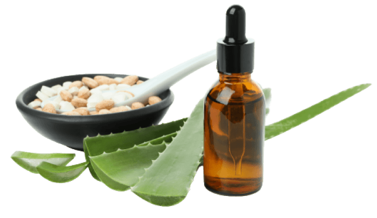 Distribuidor Cristian Canas en Utrilla Teruel